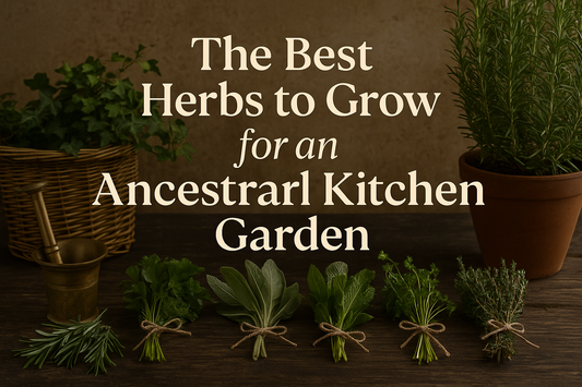The Best Herbs to Grow for an Ancestral Kitchen Garden